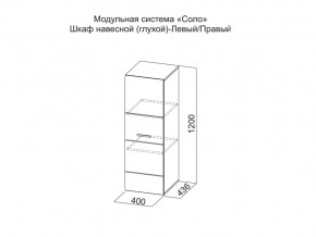 Шкаф навесной (глухой) Левый в Нефтеюганске - nefteyugansk.магазин96.com | фото