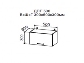 Шкаф верхний ДПГ500 горизонтальный в Нефтеюганске - nefteyugansk.магазин96.com | фото