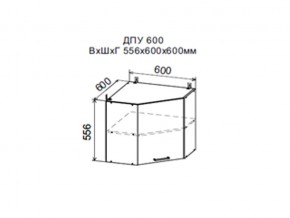 Шкаф верхний ДПУ600 угловой в Нефтеюганске - nefteyugansk.магазин96.com | фото