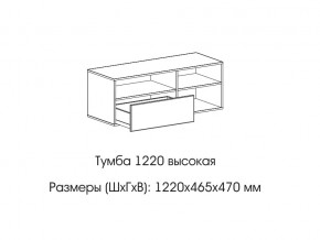 Тумба 1220 (высокая) в Нефтеюганске - nefteyugansk.магазин96.com | фото